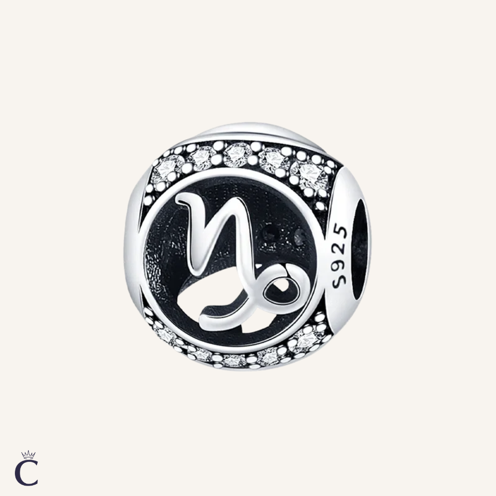 Capricorn Zodiac Charms in Silver