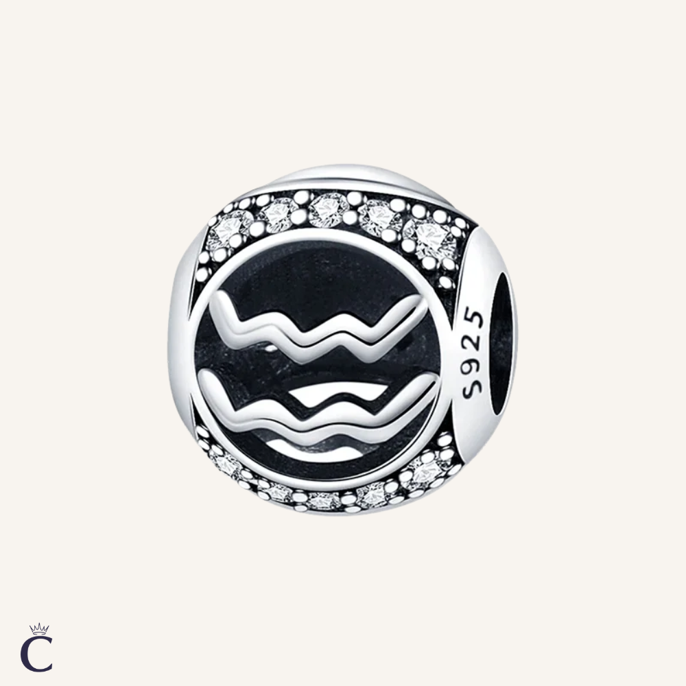 Aquarius Zodiac Charms in Silver