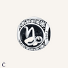 Capricorn Zodiac Charms in Silver